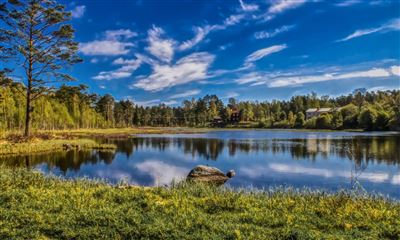 Typisch schwedische Landschaft 